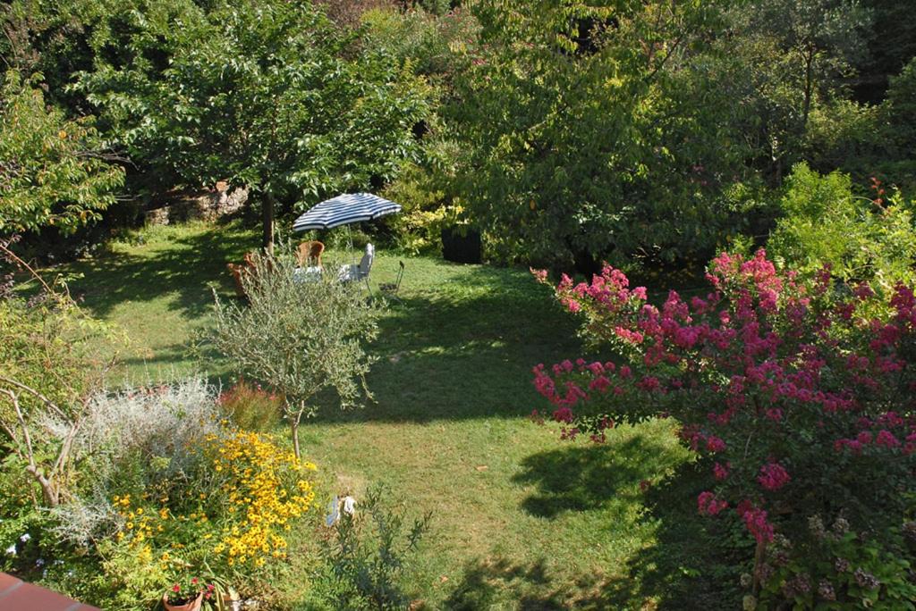 Photo of Others in Le Plan-de-Grasse
