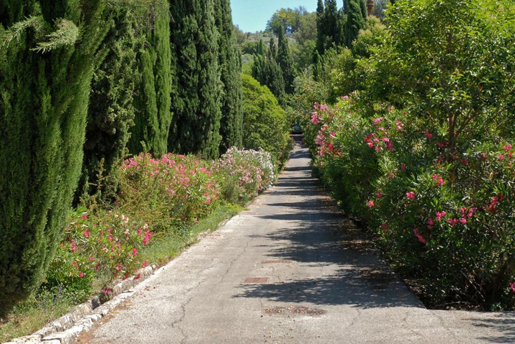Photo of Others in Le Plan-de-Grasse