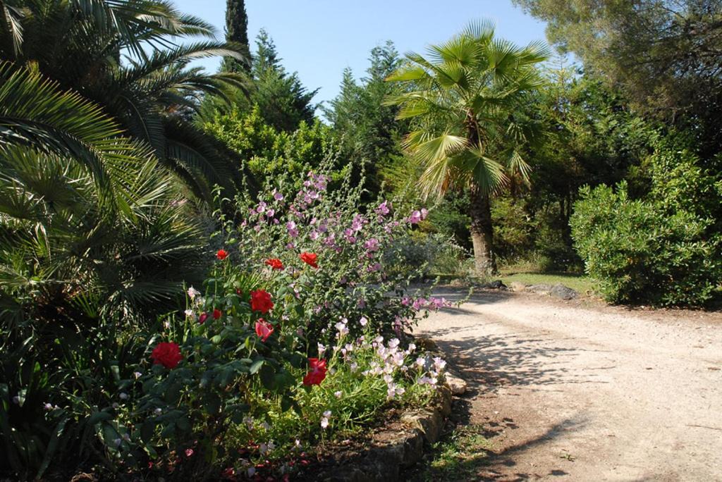 Photo of Others in Le Plan-de-Grasse