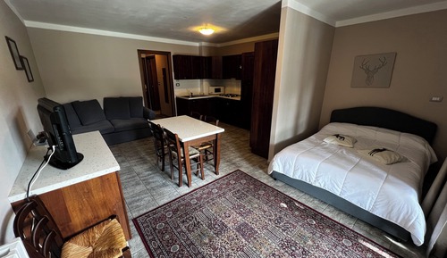 One bedroom apartment with balcony and mountain view