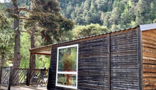 Mobile Home