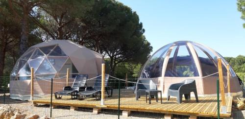 Mobile Home