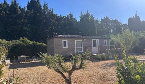 Mobile Home