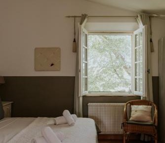 King Room with Garden View