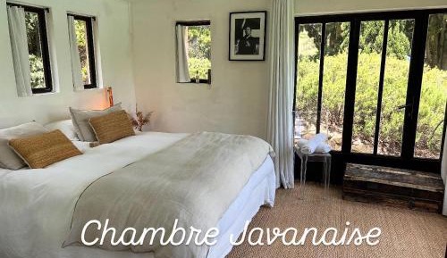 Double Room with Pool View