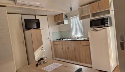 Mobile Home