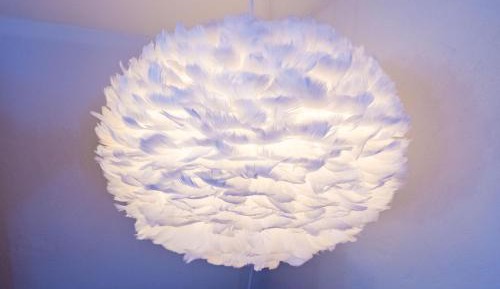 Suite des Plumes