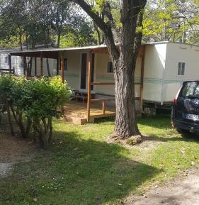 Mobile Home