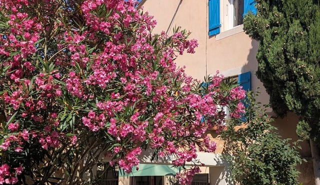 Sailing back in time with modern comforts and Provencal charm in a hilltop village